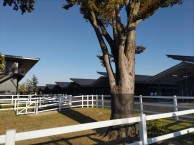 DSC_0755_R DSC_0755_R-e1700720963606